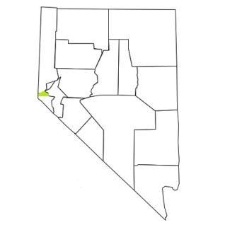 nevada fire, nevada firefighters, nv firefighters, nv fire, nevada fire department, carson city county, nevada firefighters, nv firefighters, carson city county ems, carson city county fire apparatus, carson city county fire departments